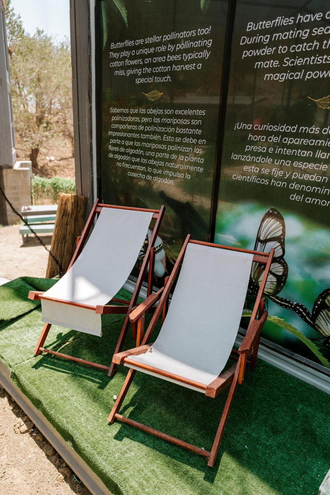 Pupa House - Capsule Hotel - Adults Only Tamarindo Eksteriør bilde