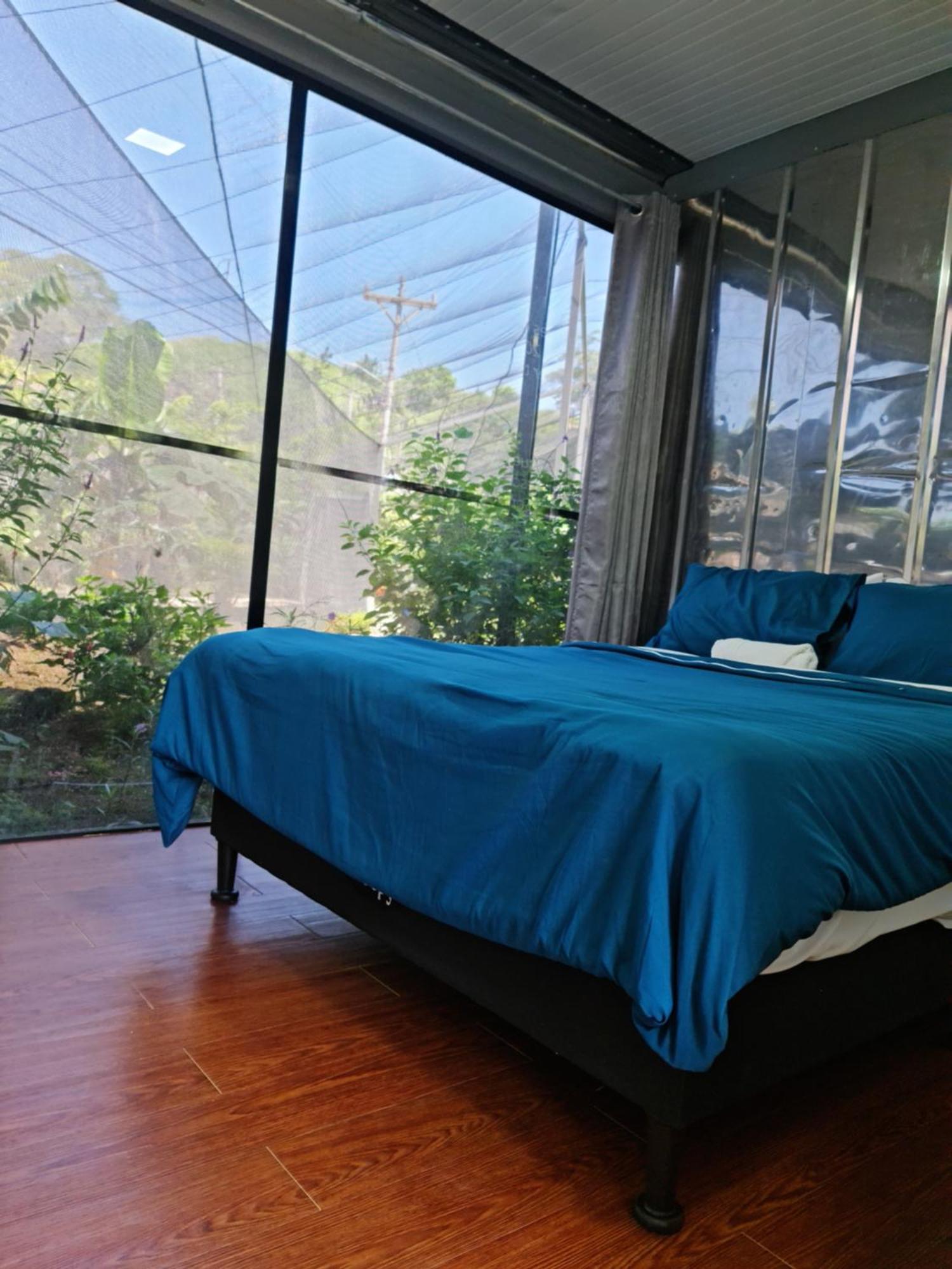 Pupa House - Capsule Hotel - Adults Only Tamarindo Eksteriør bilde